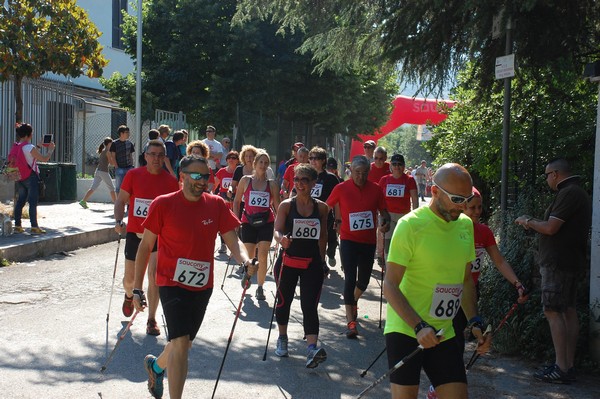 Maratonina di Villa Adriana (31/05/2015) 00011