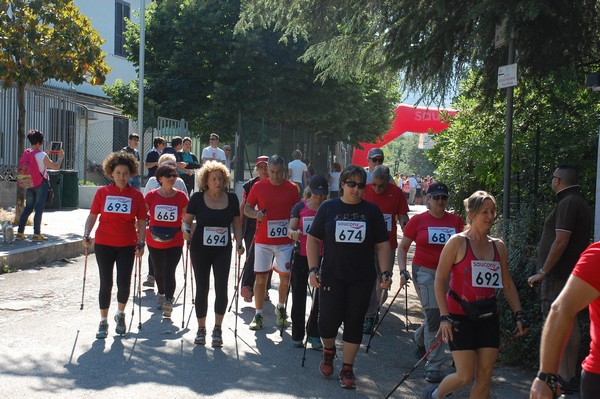 Maratonina di Villa Adriana (31/05/2015) 00015