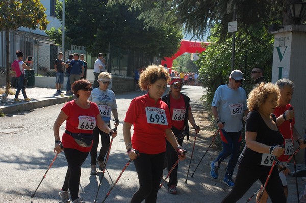 Maratonina di Villa Adriana (31/05/2015) 00019