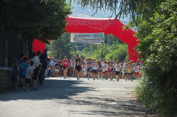 Maratonina di Villa Adriana (31/05/2015) 00021