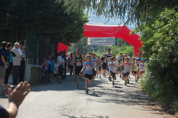 Maratonina di Villa Adriana (31/05/2015) 00029