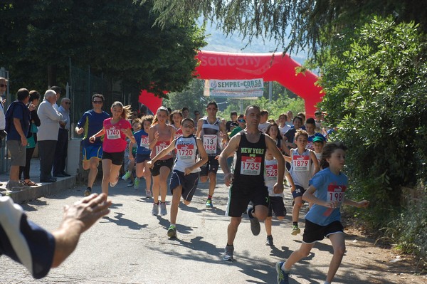 Maratonina di Villa Adriana (31/05/2015) 00034