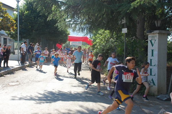 Maratonina di Villa Adriana (31/05/2015) 00042