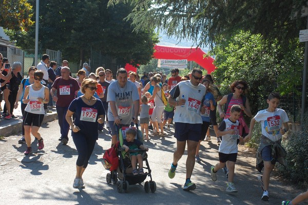 Maratonina di Villa Adriana (31/05/2015) 00069