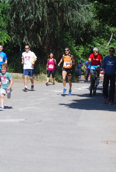 Maratonina di Villa Adriana (31/05/2015) 00012