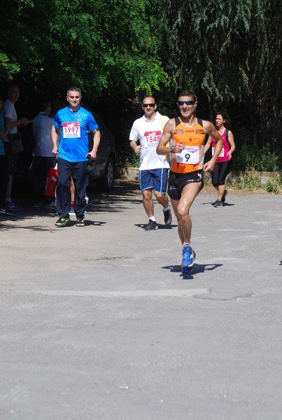 Maratonina di Villa Adriana (31/05/2015) 00015