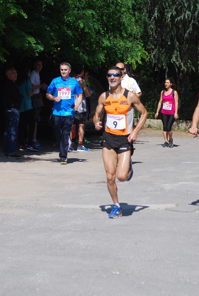 Maratonina di Villa Adriana (31/05/2015) 00016