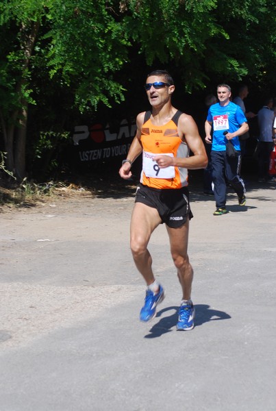 Maratonina di Villa Adriana (31/05/2015) 00018