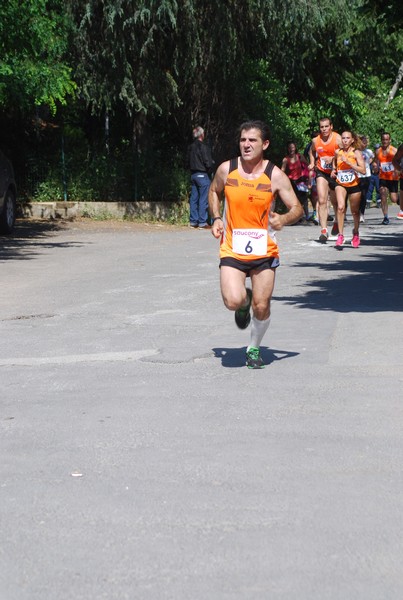 Maratonina di Villa Adriana (31/05/2015) 00049