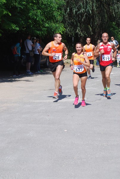 Maratonina di Villa Adriana (31/05/2015) 00055
