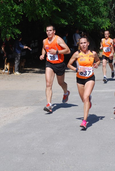 Maratonina di Villa Adriana (31/05/2015) 00057