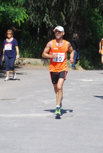 Maratonina di Villa Adriana (31/05/2015) 00065