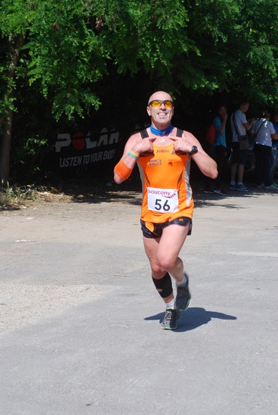 Maratonina di Villa Adriana (31/05/2015) 00087