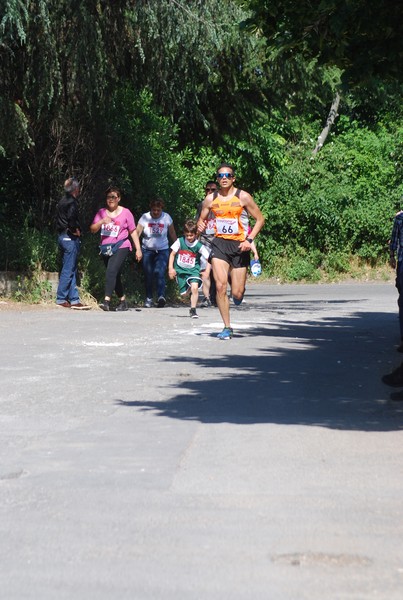 Maratonina di Villa Adriana (31/05/2015) 00103
