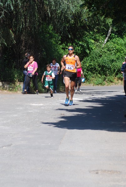 Maratonina di Villa Adriana (31/05/2015) 00104