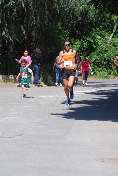Maratonina di Villa Adriana (31/05/2015) 00106