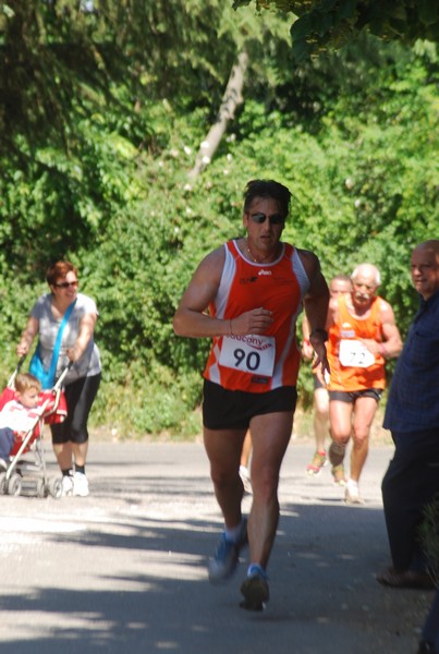 Maratonina di Villa Adriana (31/05/2015) 00114