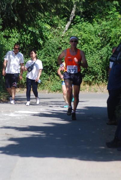 Maratonina di Villa Adriana (31/05/2015) 00129