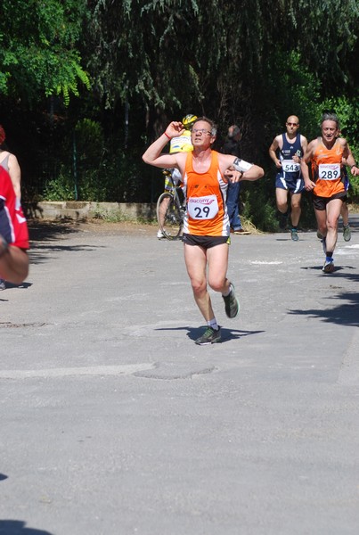 Maratonina di Villa Adriana (31/05/2015) 00149