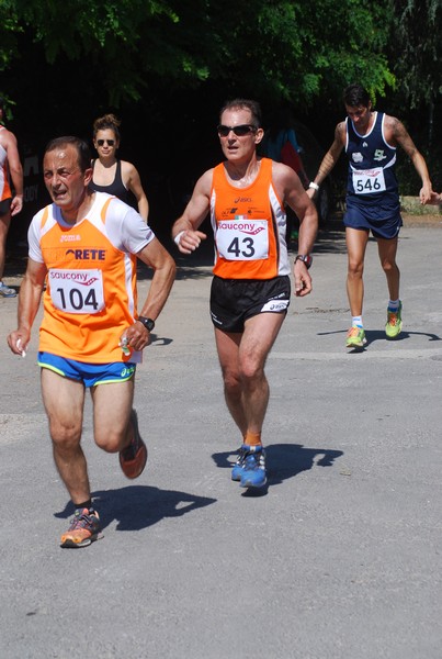 Maratonina di Villa Adriana (31/05/2015) 00158