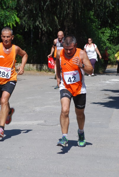 Maratonina di Villa Adriana (31/05/2015) 00171