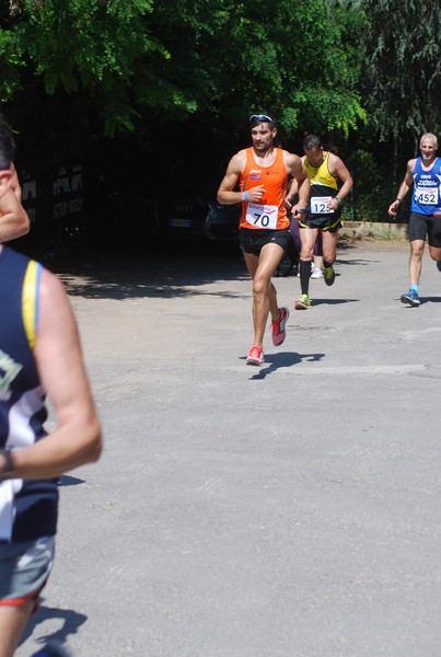 Maratonina di Villa Adriana (31/05/2015) 00175