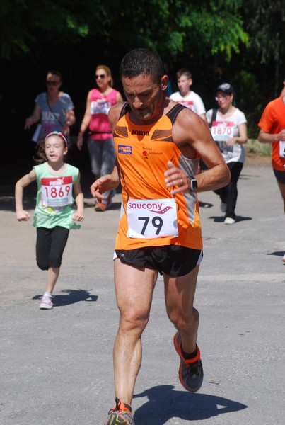Maratonina di Villa Adriana (31/05/2015) 00189
