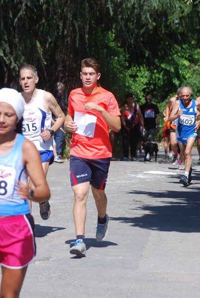 Maratonina di Villa Adriana (31/05/2015) 00199