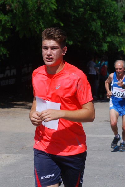 Maratonina di Villa Adriana (31/05/2015) 00205