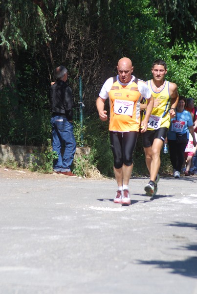 Maratonina di Villa Adriana (31/05/2015) 00215