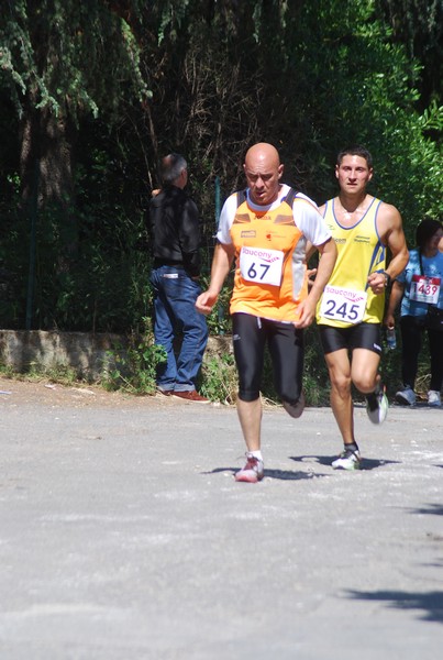 Maratonina di Villa Adriana (31/05/2015) 00216