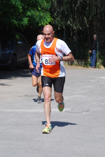 Maratonina di Villa Adriana (31/05/2015) 00238