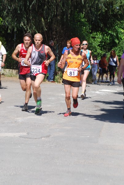 Maratonina di Villa Adriana (31/05/2015) 00241