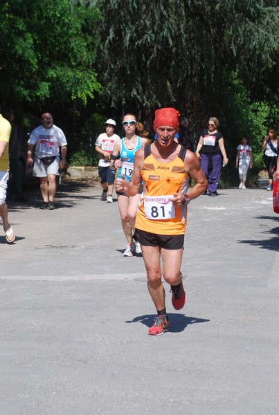 Maratonina di Villa Adriana (31/05/2015) 00244