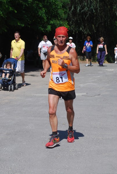 Maratonina di Villa Adriana (31/05/2015) 00246