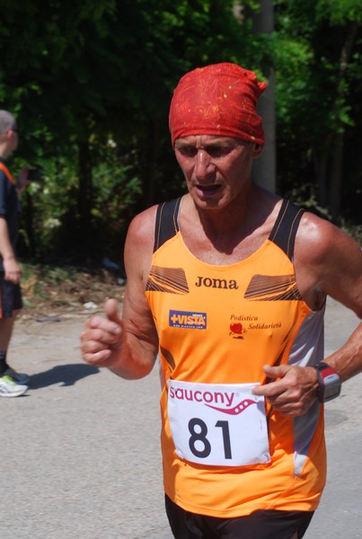 Maratonina di Villa Adriana (31/05/2015) 00249