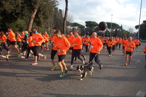 We Run Rome (31/12/2015) 00114
