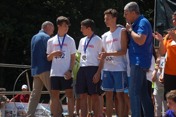 Trofeo Città di Nettuno (02/06/2015) 00035
