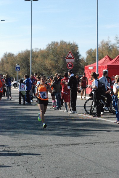 Fiumicino Half Marathon (08/11/2015) 00035