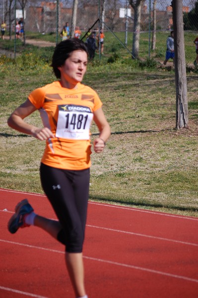 Corri per il Parco Alessandrino (08/03/2015) 00023
