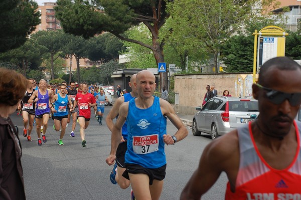 Maratonina della Cooperazione (26/04/2015) 00008