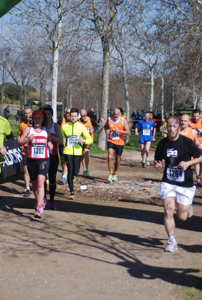 Corri per il Parco Alessandrino (08/03/2015) 00036