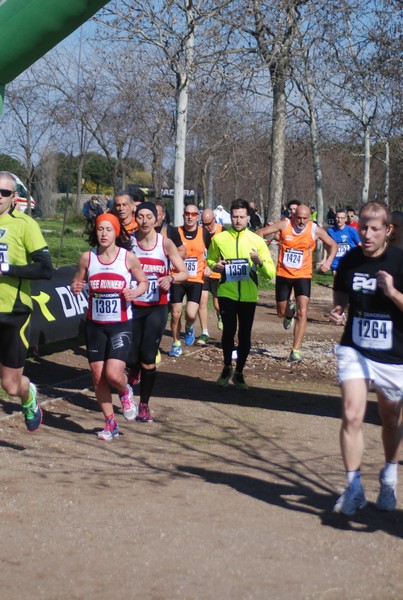 Corri per il Parco Alessandrino (08/03/2015) 00037