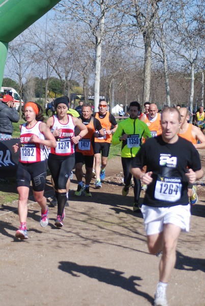 Corri per il Parco Alessandrino (08/03/2015) 00038