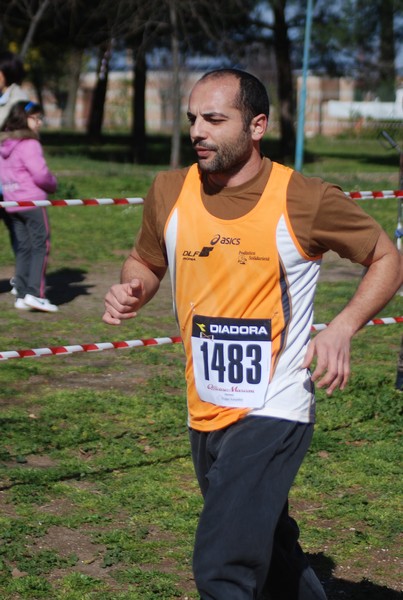 Corri per il Parco Alessandrino (08/03/2015) 00077
