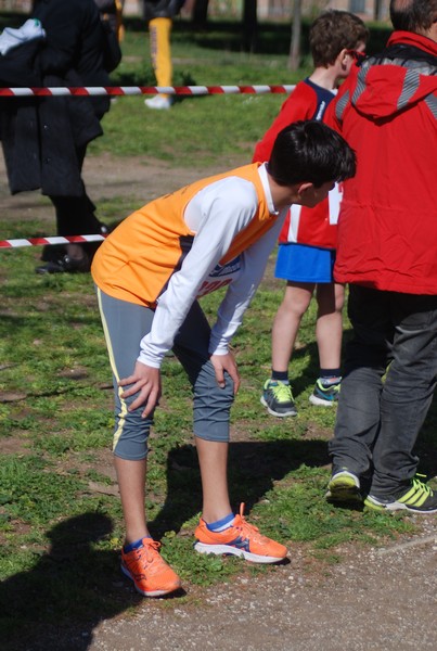 Corri per il Parco Alessandrino (08/03/2015) 00088