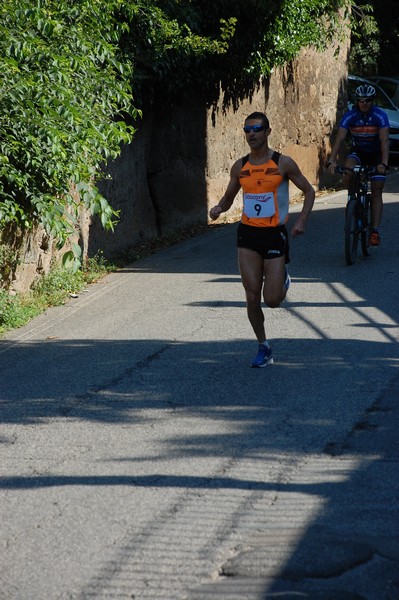 Maratonina di Villa Adriana (31/05/2015) 00009