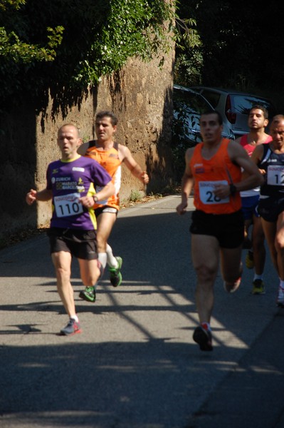 Maratonina di Villa Adriana (31/05/2015) 00018