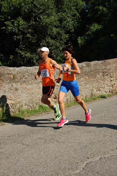 Maratonina di Villa Adriana (31/05/2015) 00031