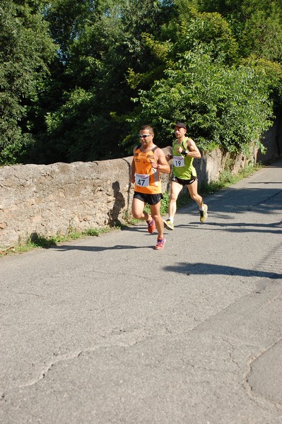 Maratonina di Villa Adriana (31/05/2015) 00037